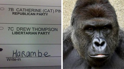 ‘Thousands’ of Americans voted for Harambe and now people are freaking out