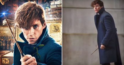 Fantastic Beasts’ Newt Scamander actually featured in a Harry Potter movie