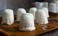 This is the most expensive cheese in the world, and it comes from donkeys