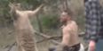 Conor McGregor ‘takes down’ the kangaroo that took a dog hostage