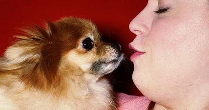 Here’s why kissing your dog is a seriously bad idea