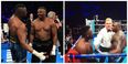 People think Dereck Chisora tried humping Dillian Whyte’s head during fight