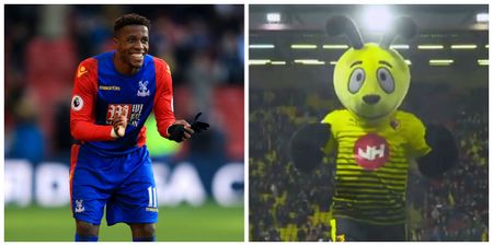 Watford’s mascot mocking Wilfried Zaha’s dive caps off football’s backwards year