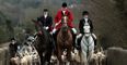 Public opposition to fox hunting reaches all-time high, survey reveals