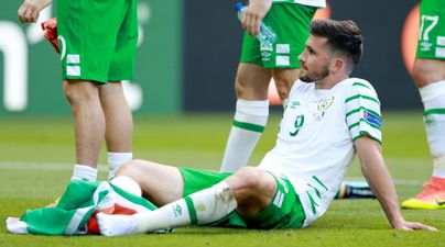 Shane Long’s wonderful gesture to young fan after Euro 2016 defeat has only just been revealed