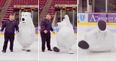 This p*ssed off polar bear mascot repeatedly falling over on ice is the best thing ever