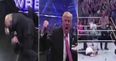 Donald Trump’s famous appearance on Wrestlemania 23 is well worth another look