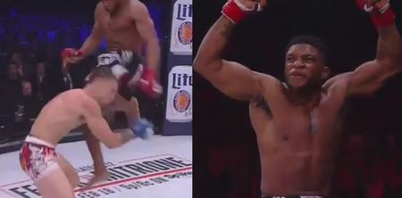 Knockout monster Paul Daley brutally knocks out Brennan Ward with ferocious flying knee