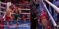 Mikey Garcia delivers one of the most brutal knockouts you’ll ever see to become three-weight world champion