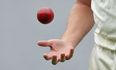 Batsman accidentally kills teenage cricketer after hurling stump in anger