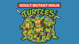 Teenage Mutant Ninja Turtles: Where are they now?