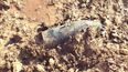 Parts of London closed following discovery of huge unexploded WW2 bomb