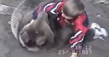 A reminder of the time a young Khabib Nurmagomedov wrestled an actual bear