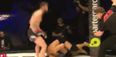 Watch this Scottish fighter score an absolutely sickening finish over UFC vet