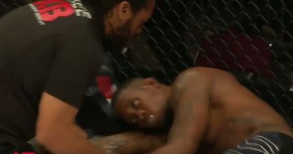 Props to Herb Dean for recognising rare choke that put fighter to sleep