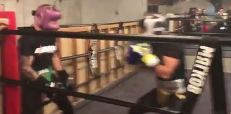 UFC star sparring with arguably the greatest boxer in the world is in equal parts amazing and frustrating