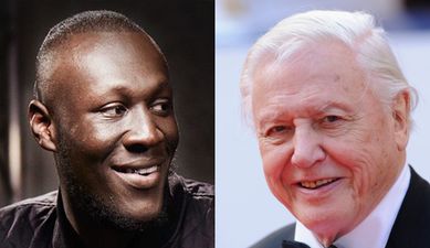 Stormzy admits that he fell for BBC Three’s David Attenborough April Fool