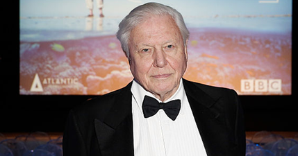 Sir David Attenborough has revealed his struggles with memory loss