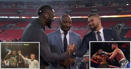 Tony Bellew and Deontay Wilder exchange clips on Twitter after promoter offers hope