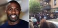 Idris Elba had a casting call in London for his new film and the reaction was crazy