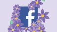 Here’s why you’re seeing a purple flower in your Facebook likes