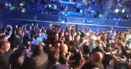 Brawl breaks out after Paul Daley submits to debuting Rory MacDonald