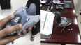 Six important questions about the pigeon that was caught smuggling drugs in a backpack