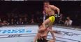 UFC star finds out the brutal way how sloppy takedowns can be punished