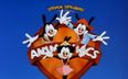 Great news ’90s cartoon fans, Animaniacs is making a comeback