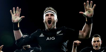 All Blacks reveal new jersey that’s fit to poach a pride of Lions