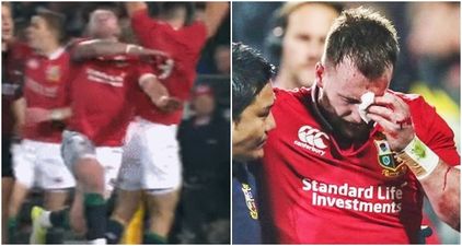 Stuart Hogg ruled out of Lions Tour after gut-wrenching news confirmed