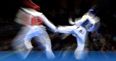 World Taekwondo Federation forced to change its name for a gloriously funny reason