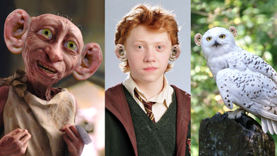 Here’s what your favourite Harry Potter characters would look like with Conor McGregor’s ears