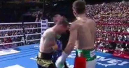 Michael Conlan basically told the ref to stop the fight after brutalising opponent