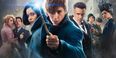 Harry Potter fans will definitely enjoy this reunion in the sequel to Fantastic Beasts