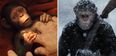 This superb refresher of the Planet of the Apes films will get you ready for war