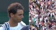 Rafael Nadal’s reaction to defeat brings stunning ovation from Wimbledon crowd