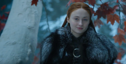 Game of Thrones fans are all asking one question about the Stark family