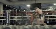 WATCH: Footage emerges of Conor McGregor vs Paulie Malignaggi sparring session