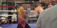 Glimpses of Conor McGregor’s likely gameplan for Mayweather on show in sparring clips