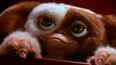 Gremlins 3 is a step closer and it’s set to be really ‘twisted and dark’