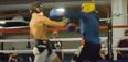 It’s impossible to ignore how Conor McGregor looks in new sparring footage leak