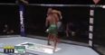 Sometimes fighters get hit so hard they just have to do an involuntary somersault