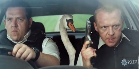 ‘Hot Fuzz’ police actually arrest a rogue swan that’s causing road rage