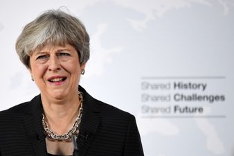 Theresa May has rejected the Norwegian and Canadian models for Brexit and is pursuing the Beverly Hills Cop III model