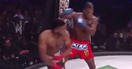 Left hand of Nottingham’s Paul Daley is one of the scariest weapons in all of MMA