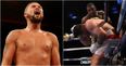 Tony Bellew wants to see Luis Ortiz banned from boxing for life