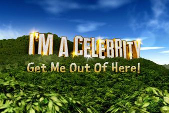 If Ant McPartlin doesn’t return to host I’m A Celebrity, there’s a red-hot favourite to take over