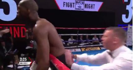 One of Britain’s most high profile MMA fighters has just won in his boxing debut