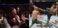 Conor McGregor receives referee warning as he watches teammate fight